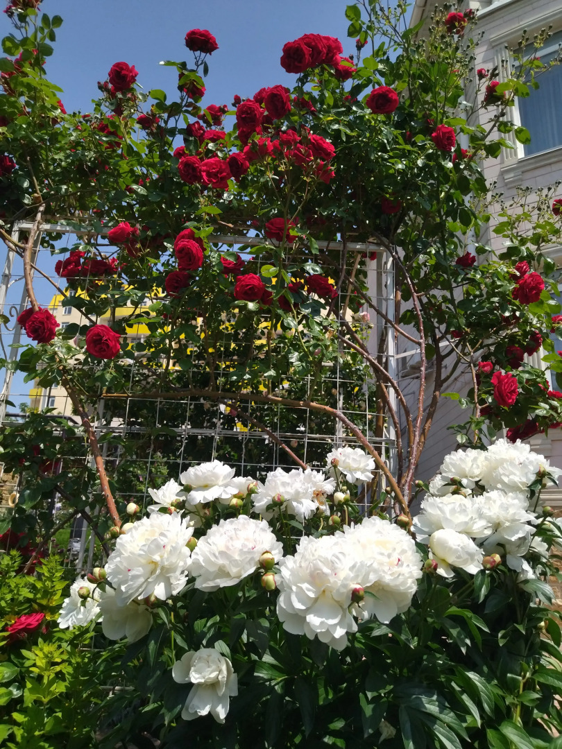 Гостевой Дом Елена