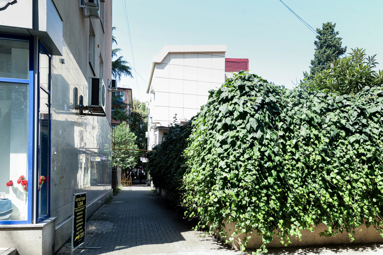 Апартаменты на Московской в Сочи