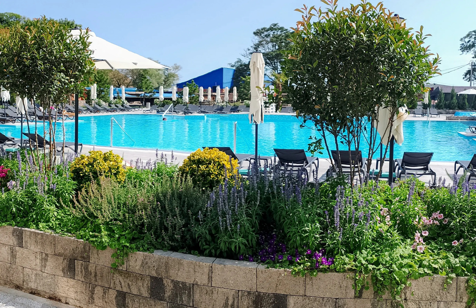 Отель Райморис