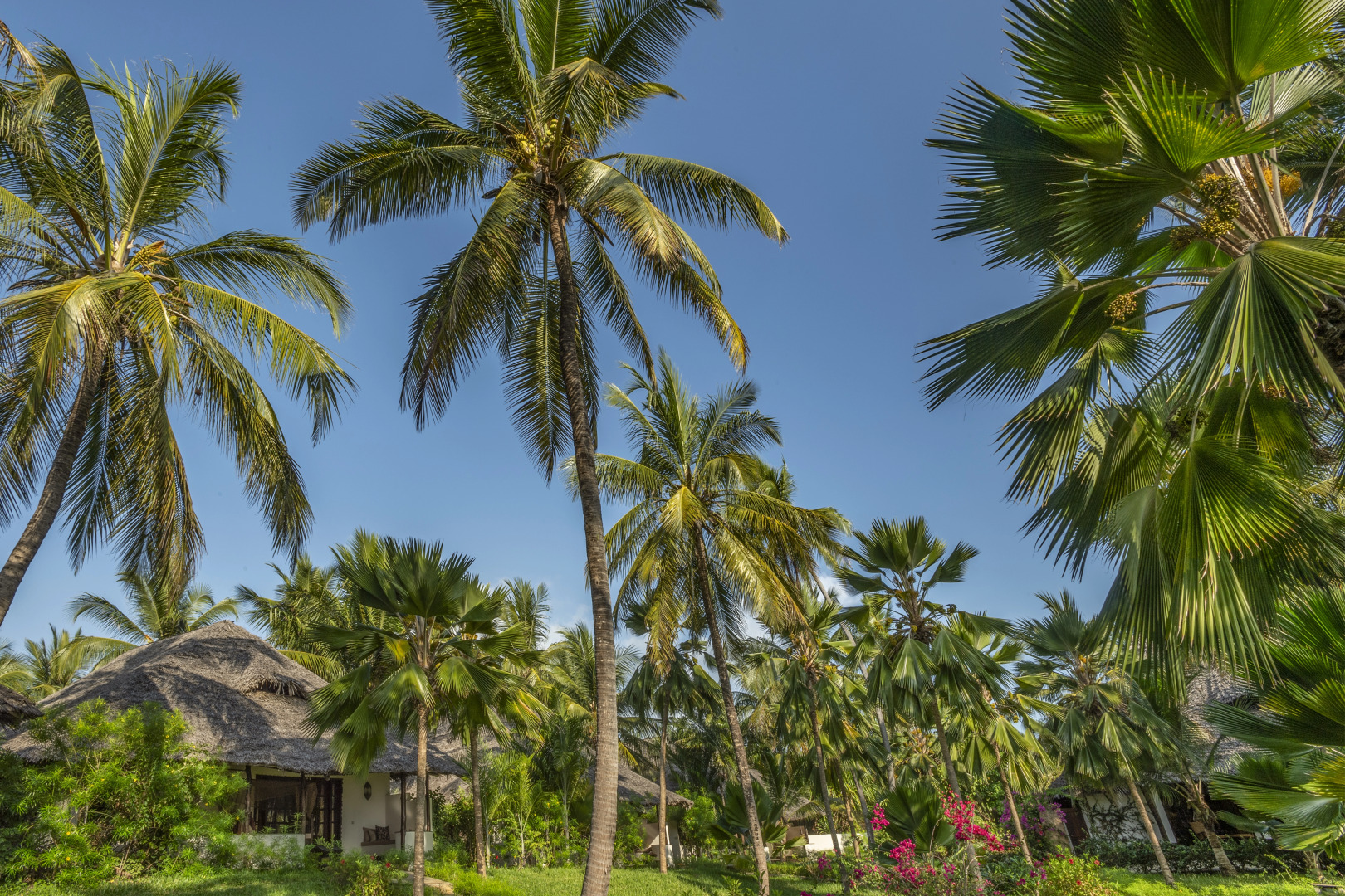 Отель The Palms Zanzibar All Inclusive