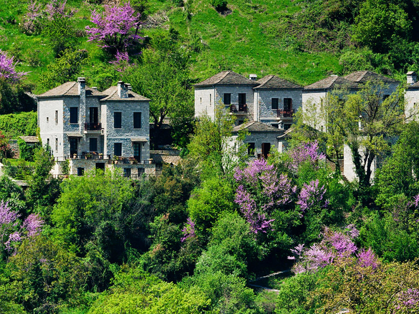 Отель Aristi Mountain Resort