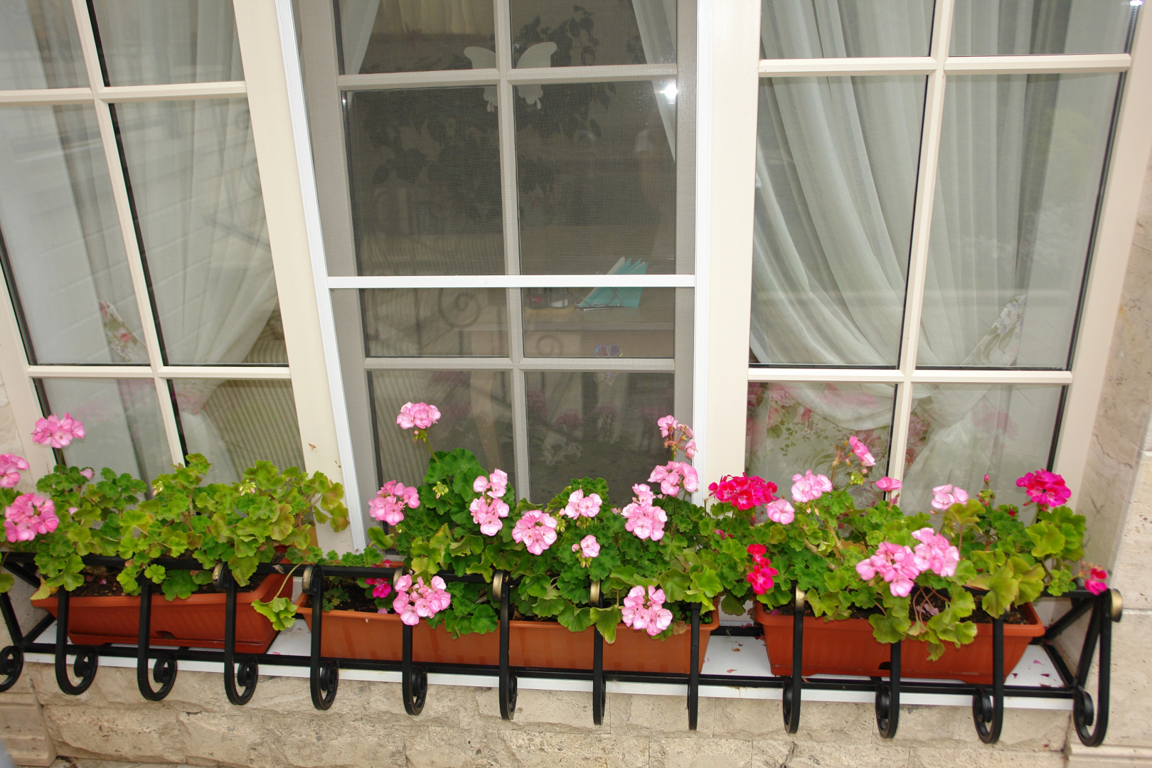 Мини-отель Крокус SPA