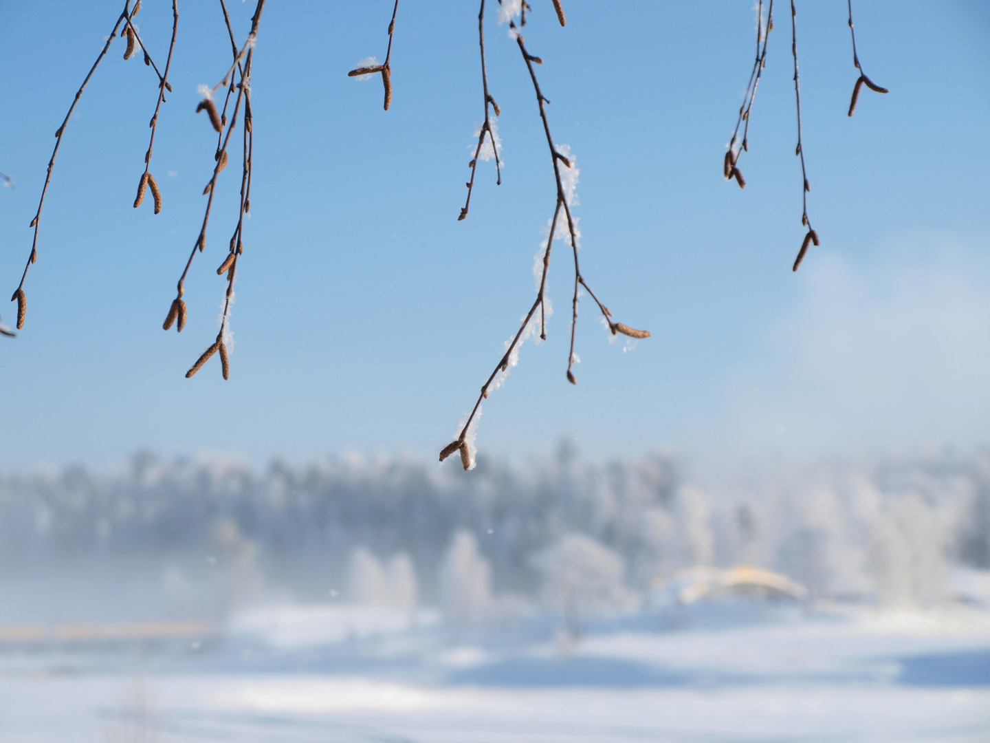 Коттеджный Поселок Демино