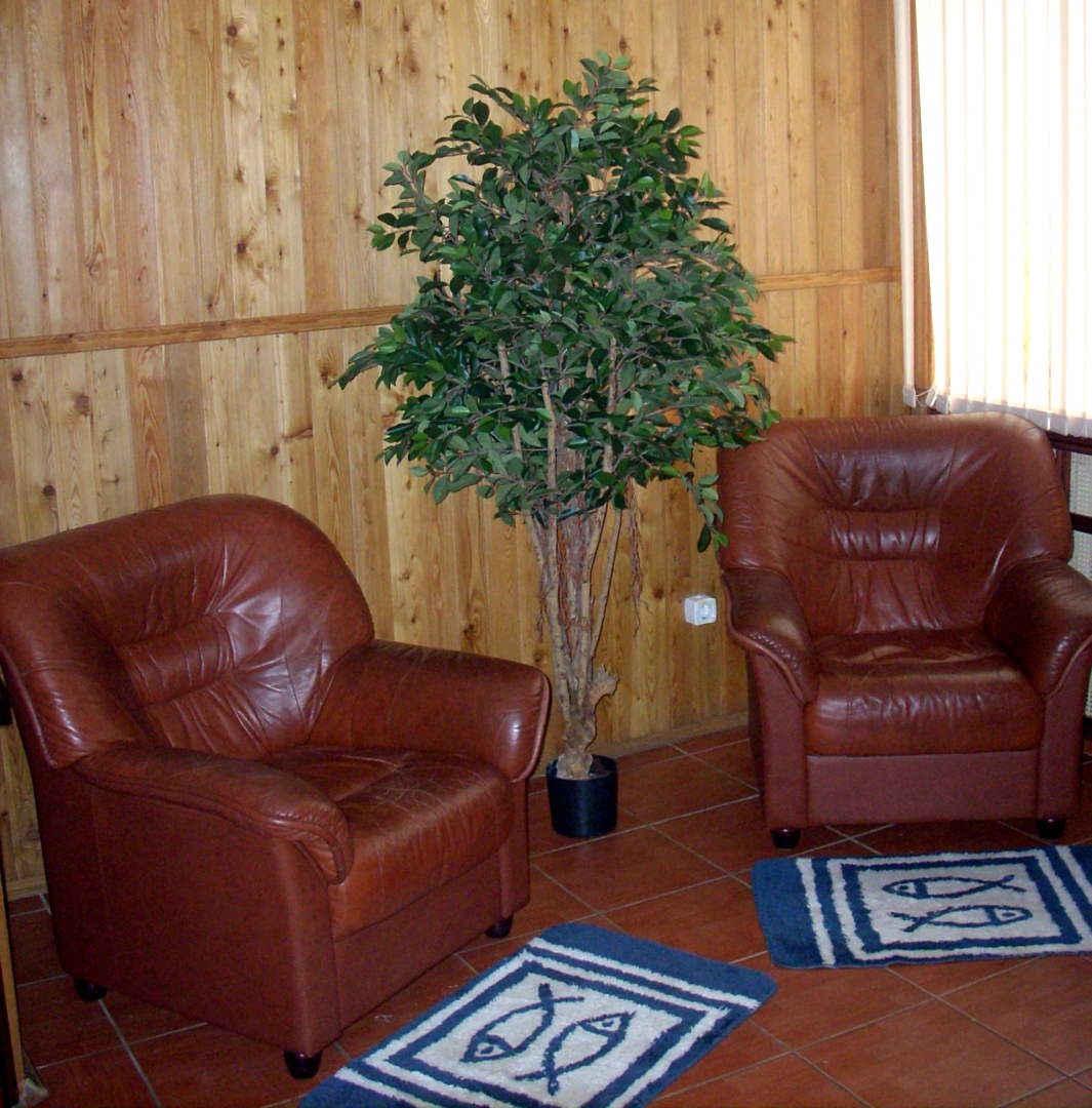 Отель Елизар