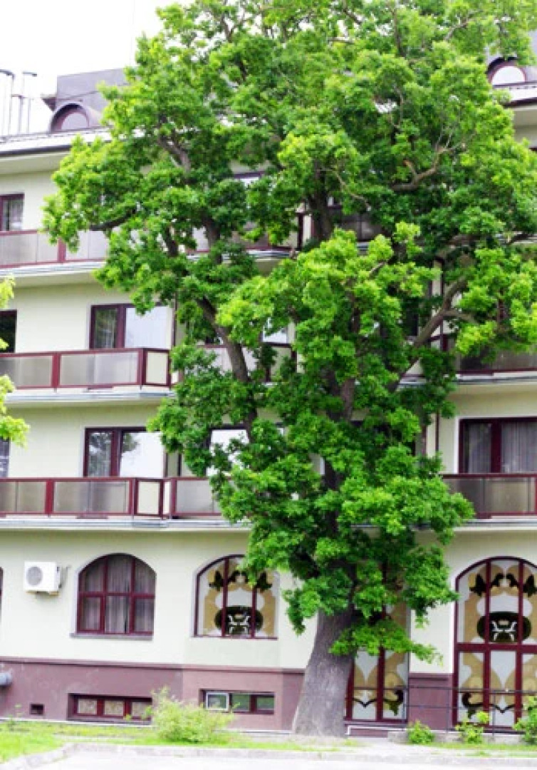 Отель Балтийская корона