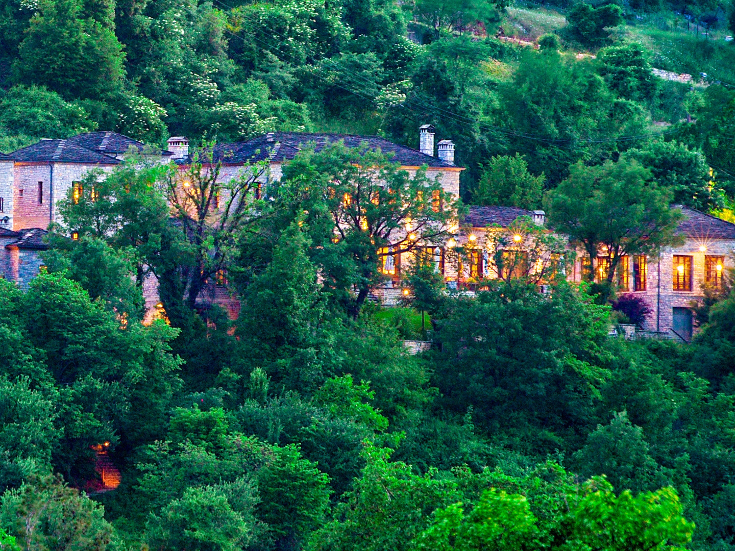Отель Aristi Mountain Resort