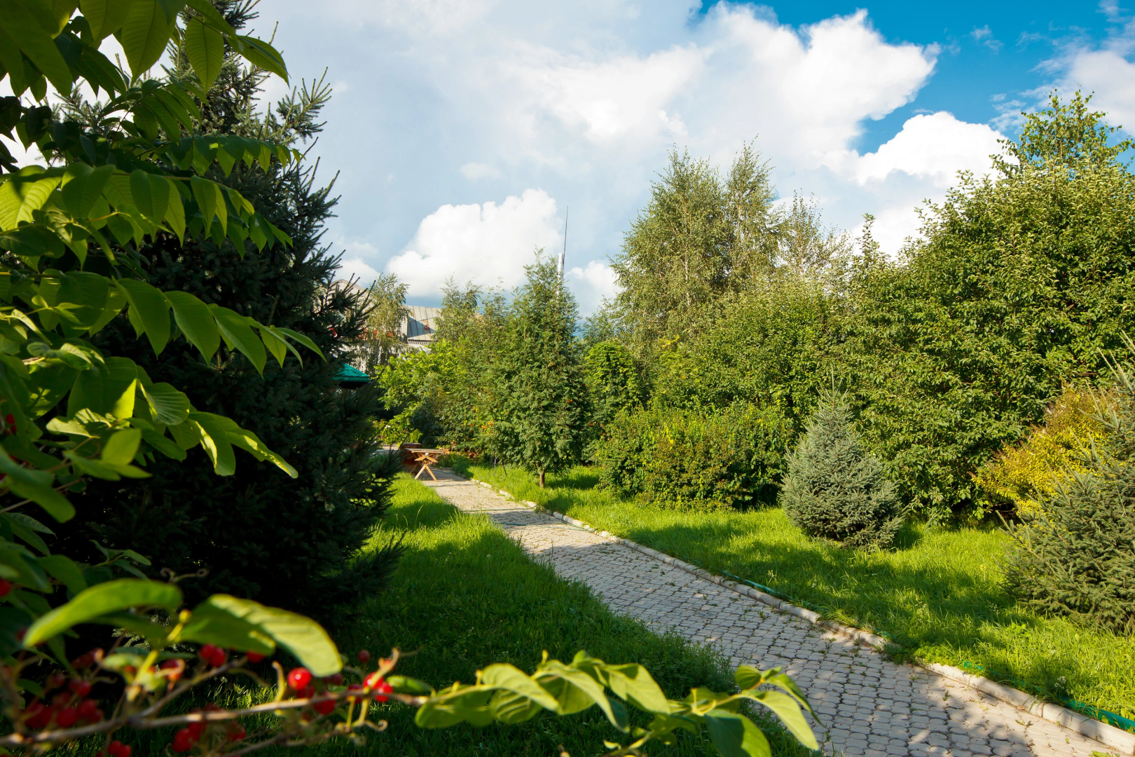 Мини-отель Парк-отель Алмаз