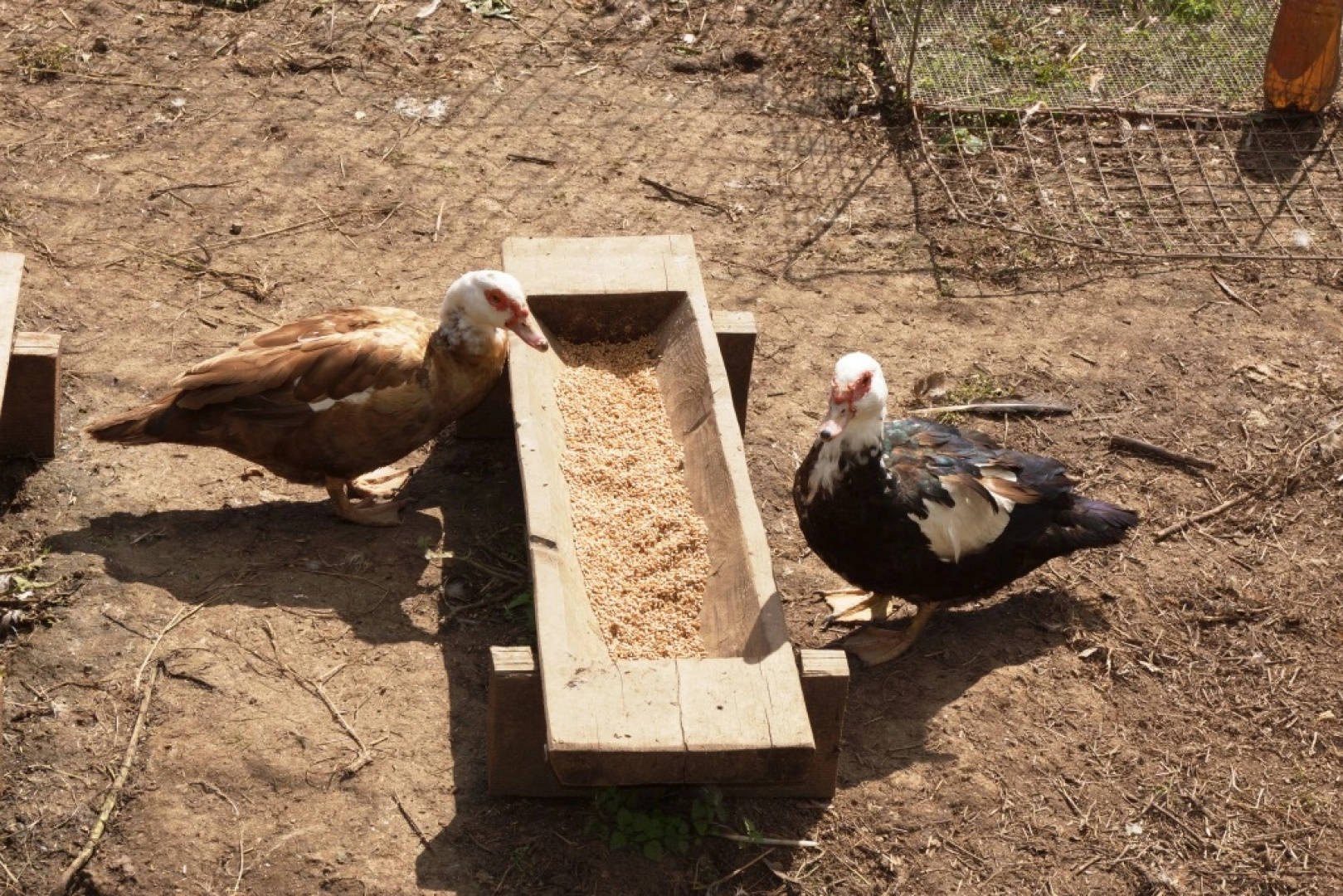 Туристический Комплекс Живые Родники