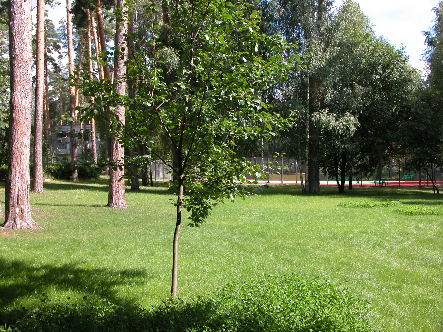 Загородный гостиничный комплекс Серебряный бор