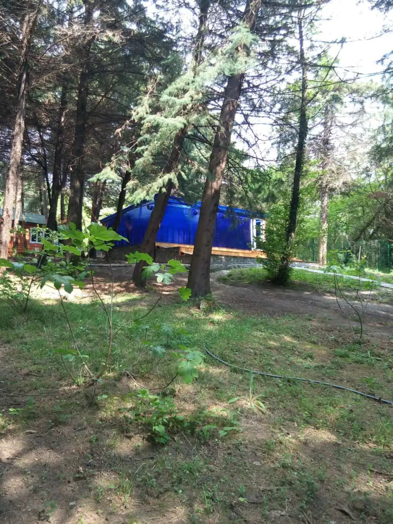 Отель Кипарисовая Усадьба