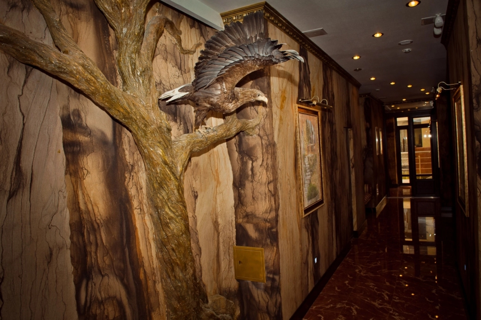 Отель Барракуда