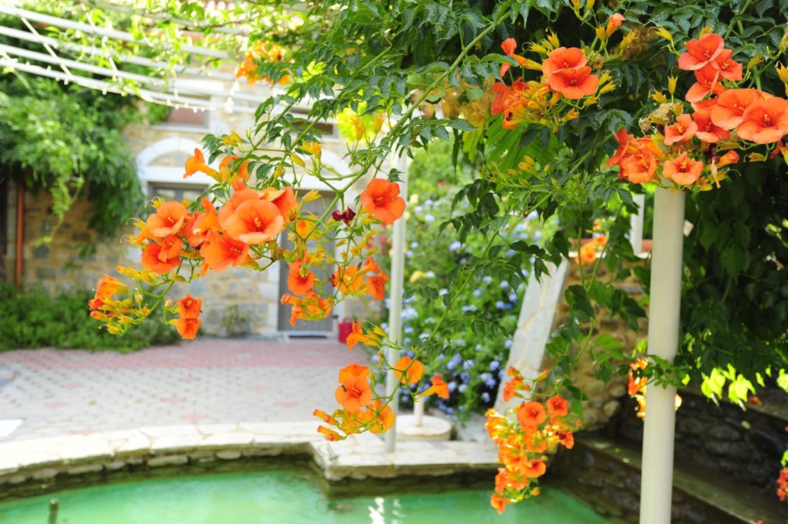 Отель Taleton Sparti Country House