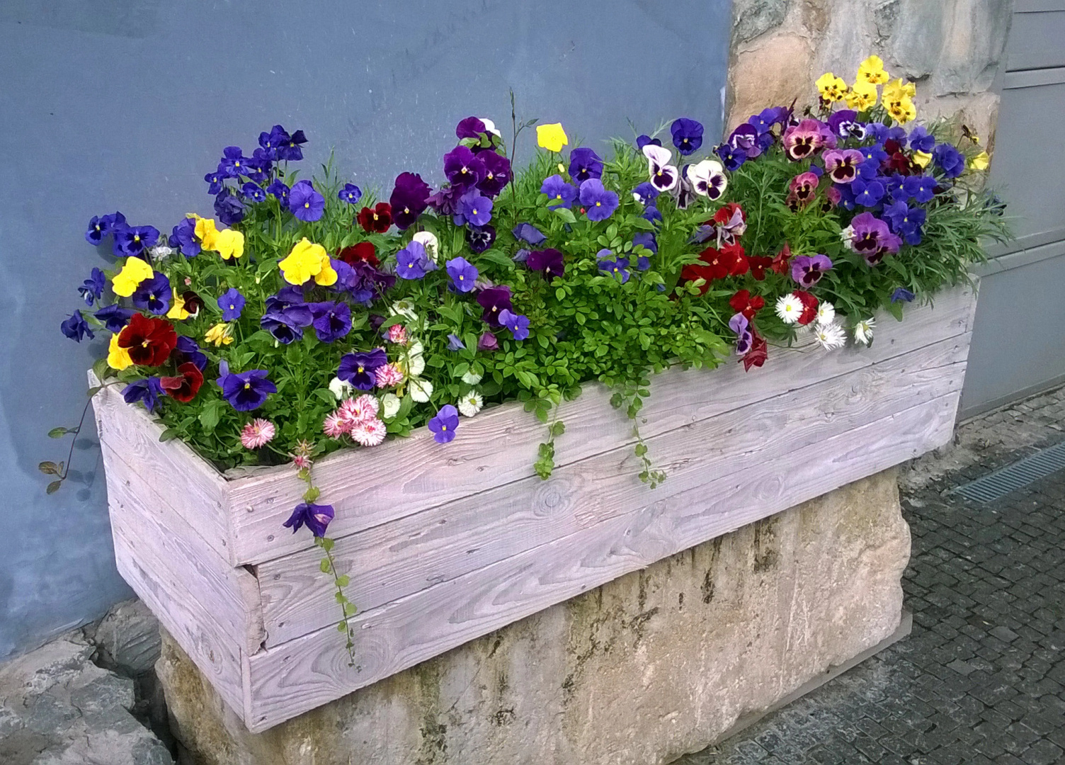 Гостевой Дом Terrazzo