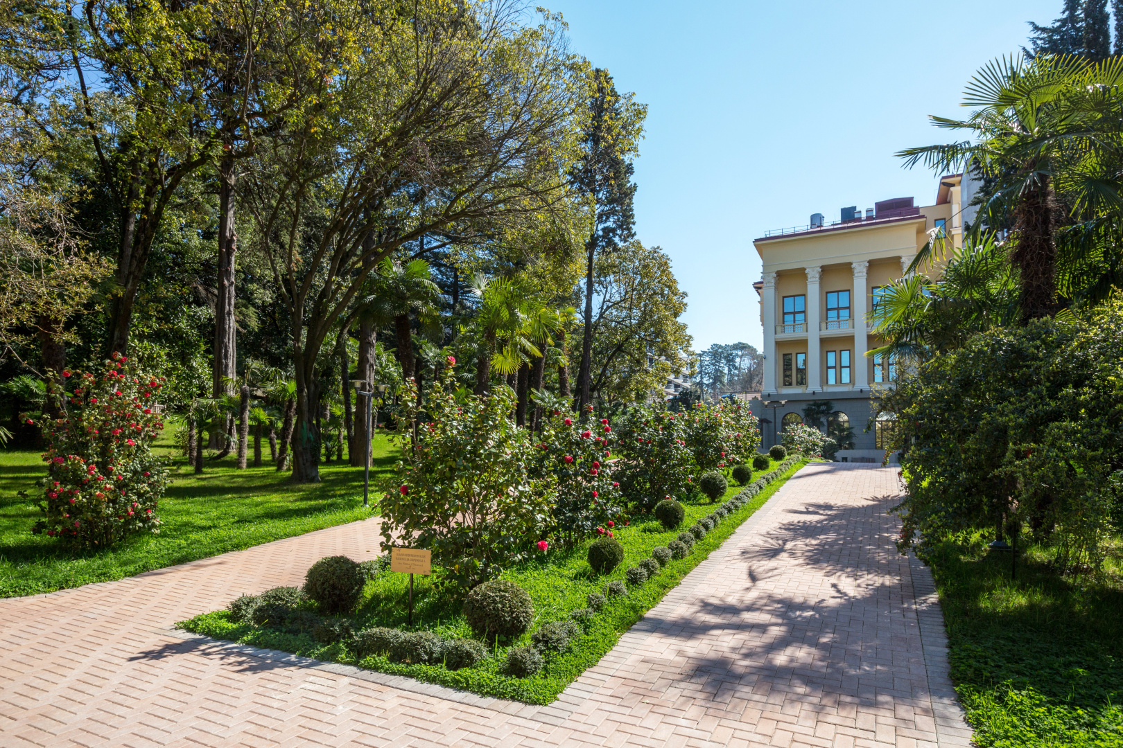 Отель Swissôtel Resort Sochi Kamelia