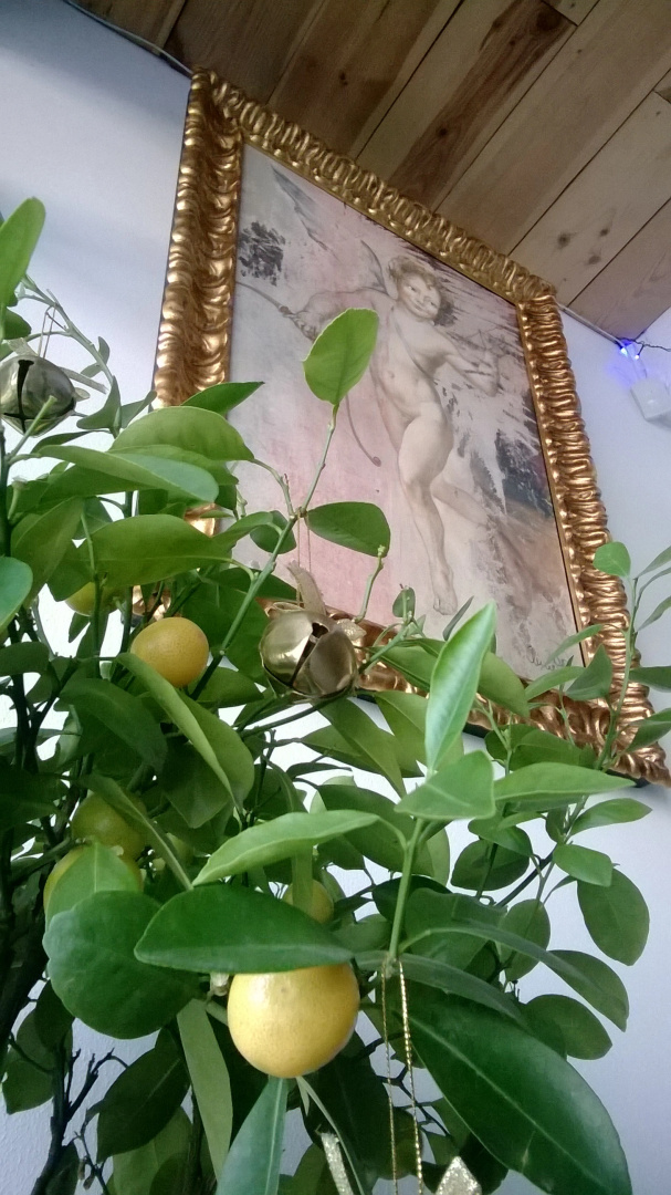 Гостевой Дом Terrazzo