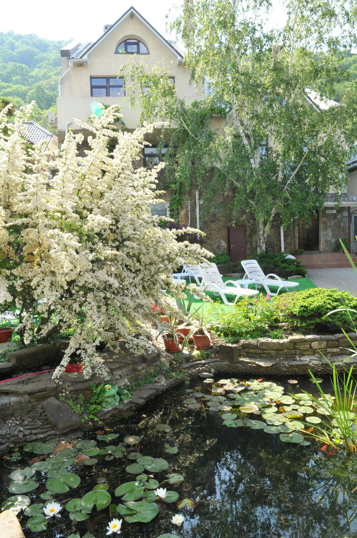 Отель Оазис