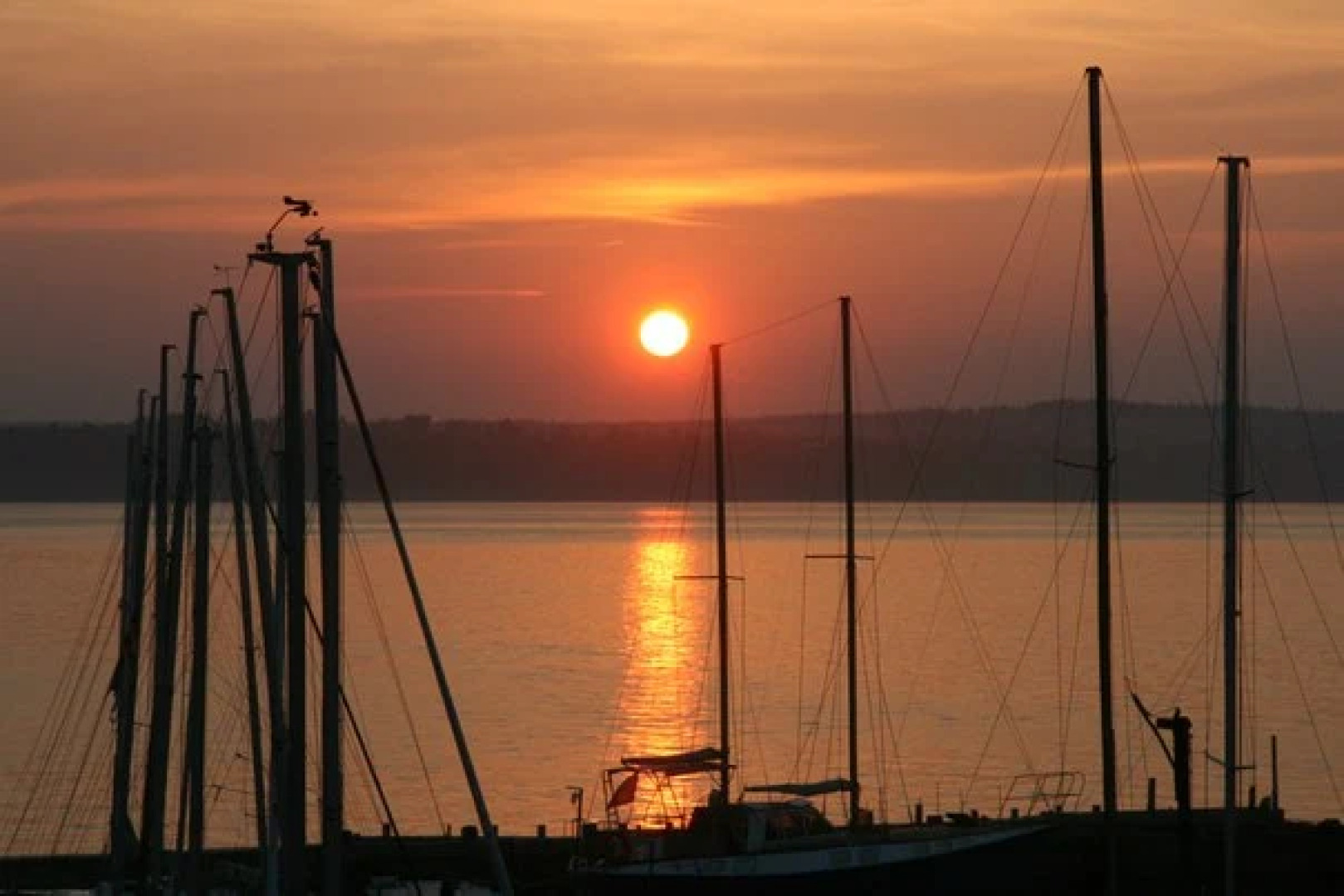 Отель Фаворит