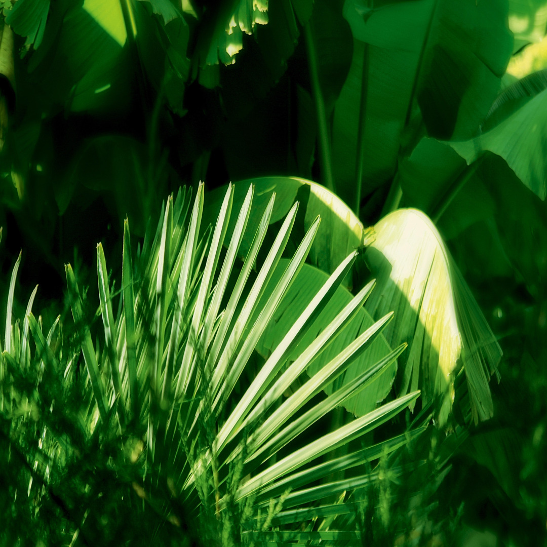 Гостевой Дом K&T