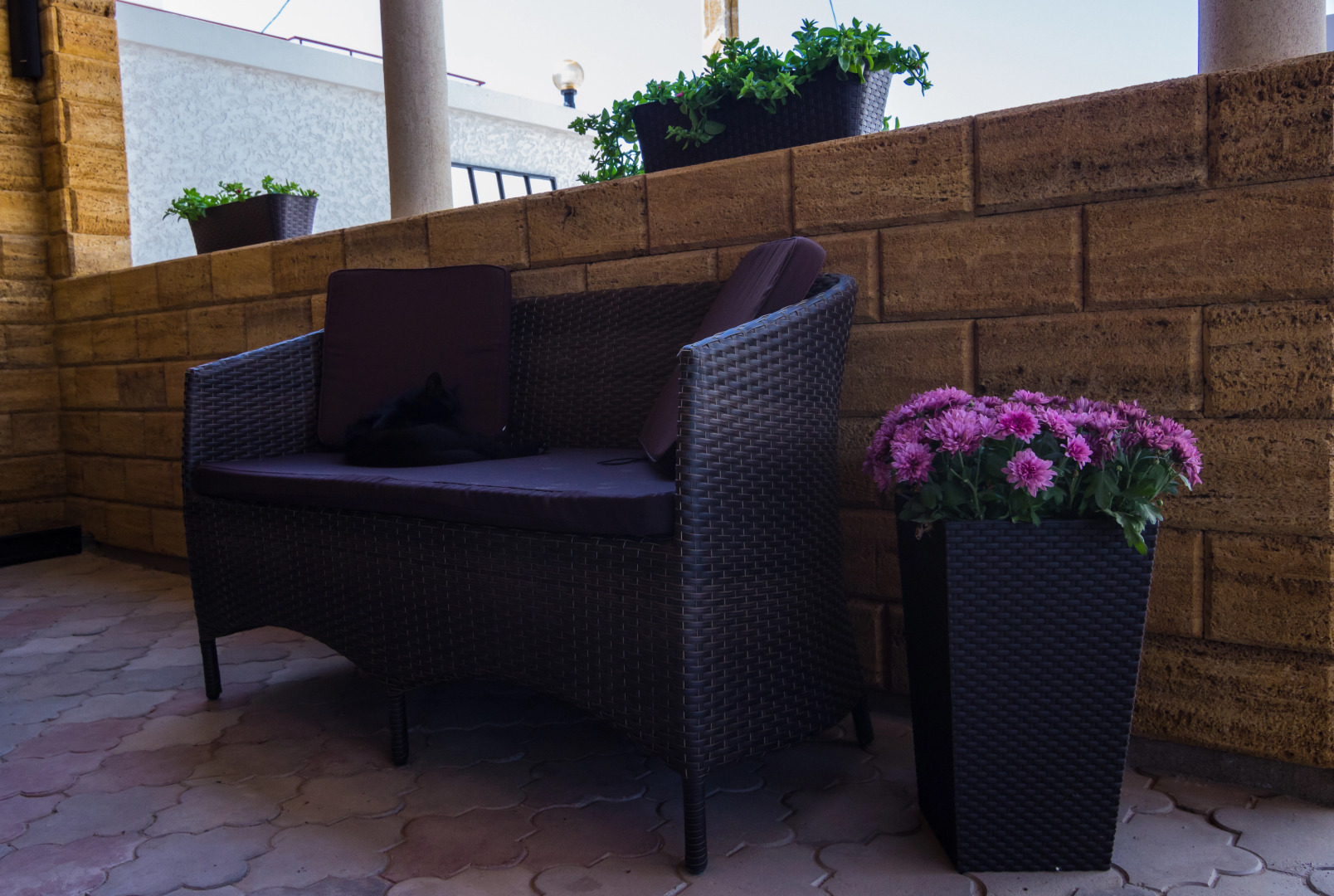 Отель Мемори