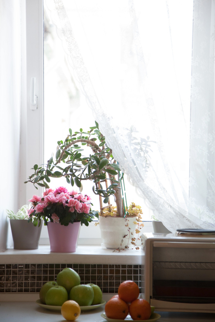 Хостел Baikal Story