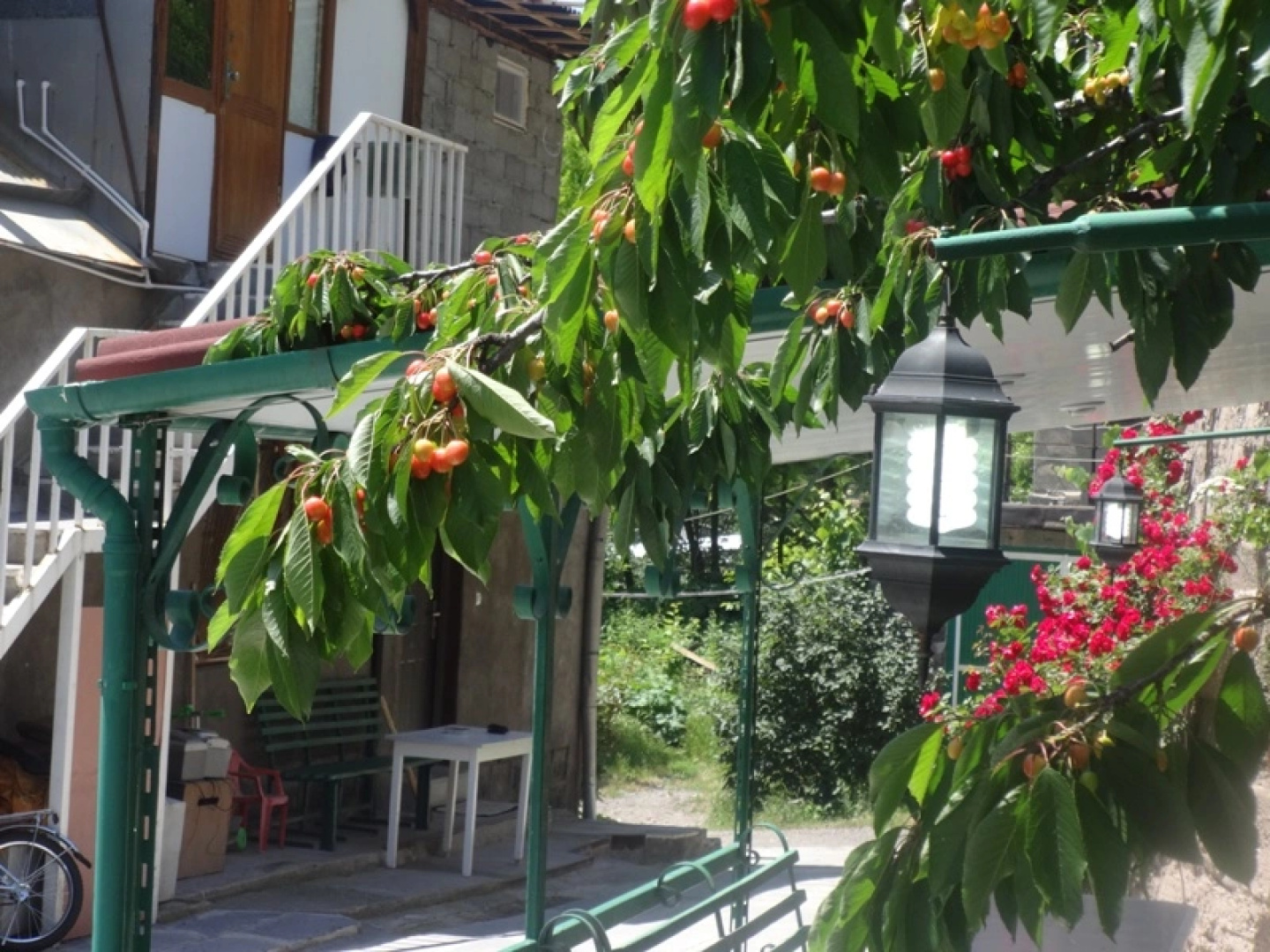 Гостевой дом B&B Ирис
