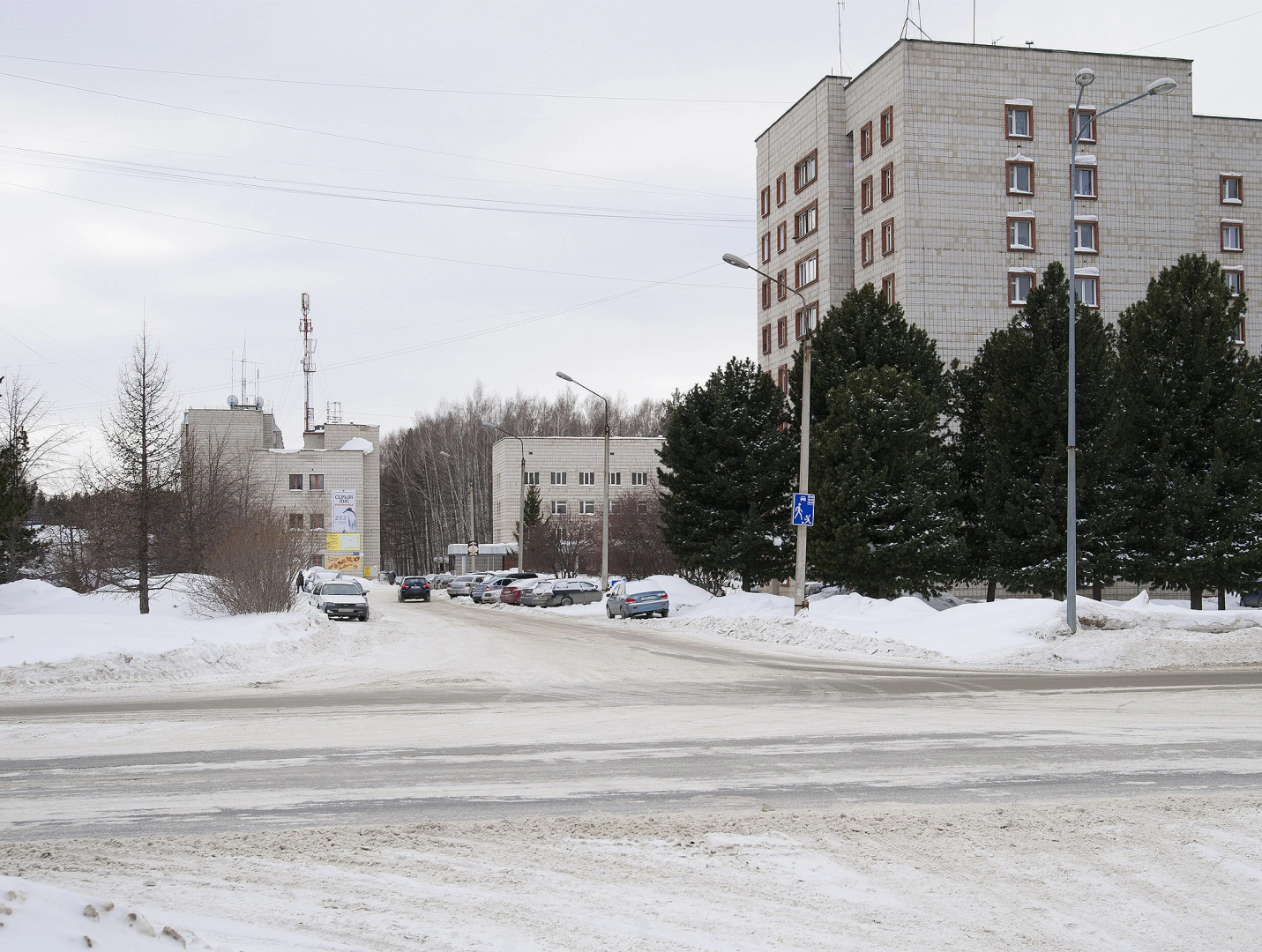 Отель Серый Лис