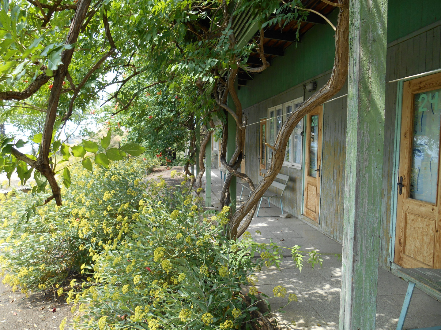 Пансионат Крым