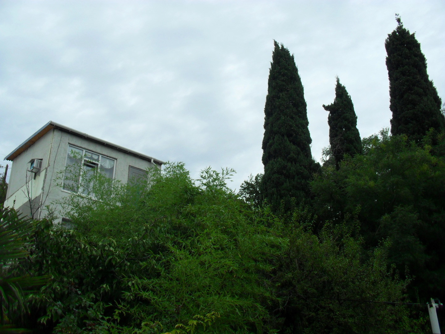 Меблированные комнаты Волна