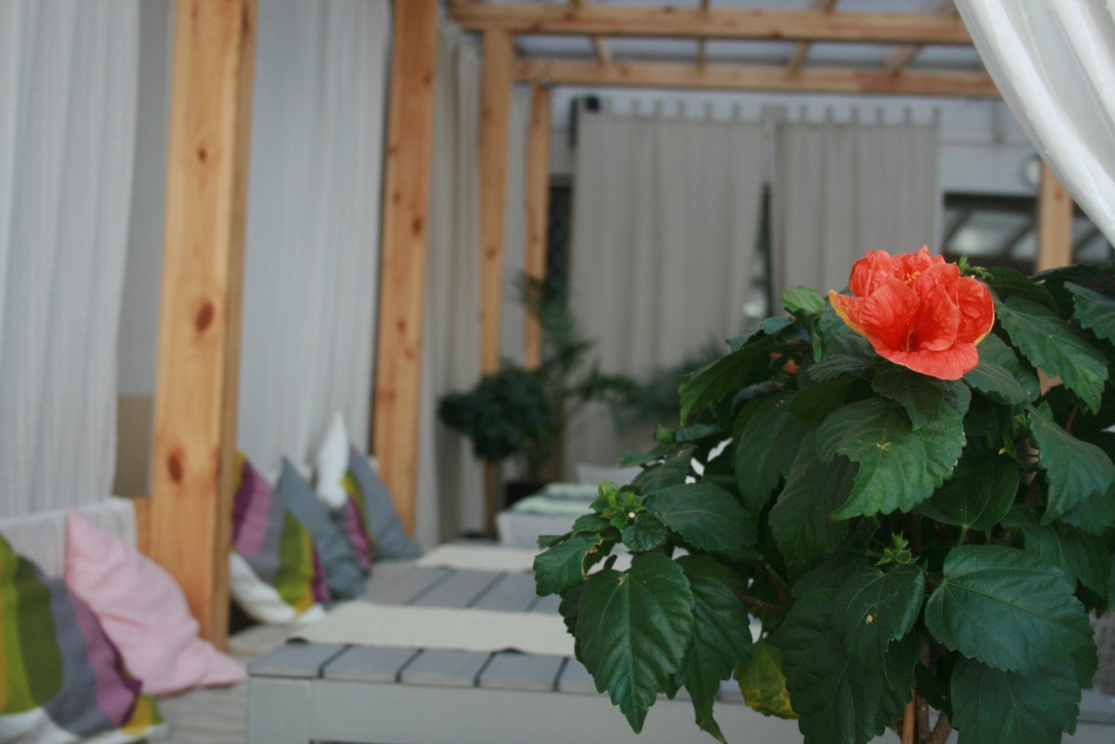 Спортивно-гостиничный комплекс Луч