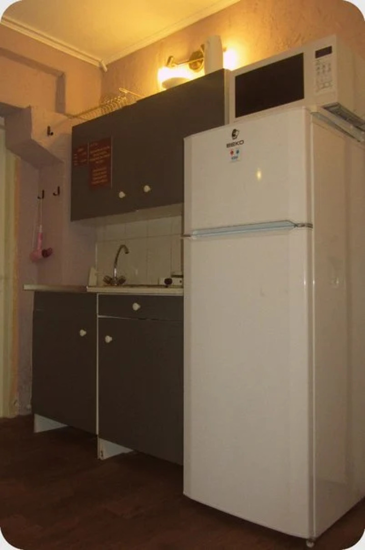 Меблированные комнаты Old Flat на Жуковского