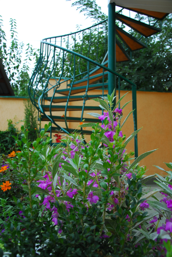 Мини-отель Пансион Кафа