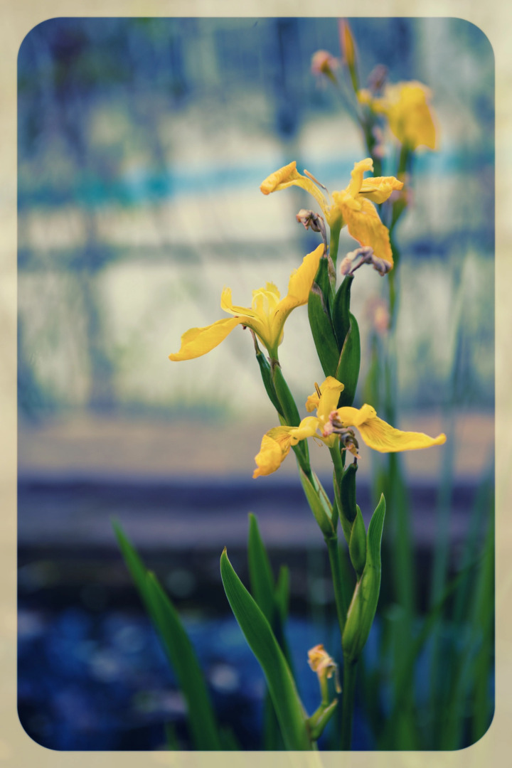 Отель Prohlada Breeze