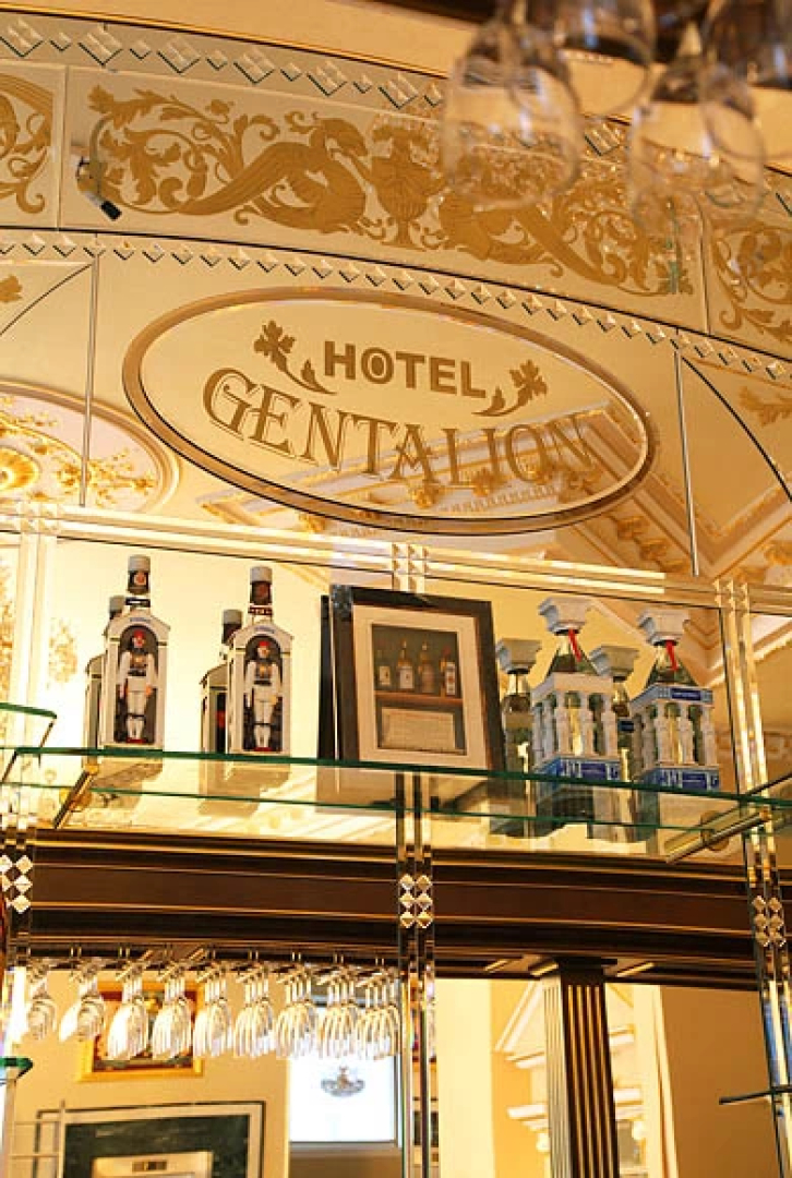 Отель Gentalion