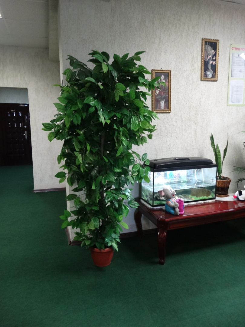 Гостиница Золотая миля