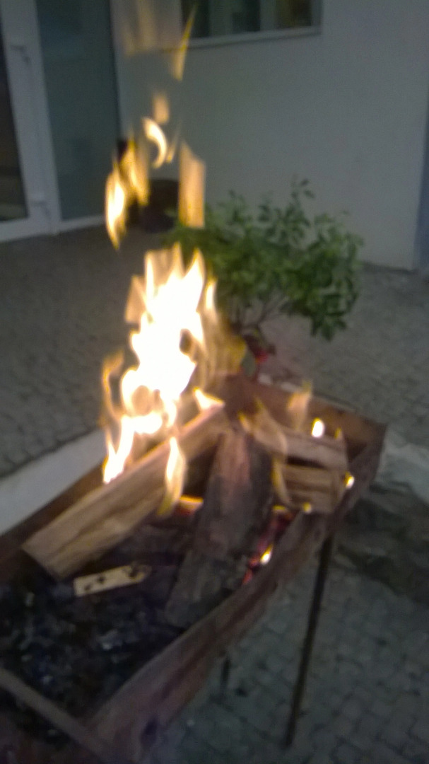 Гостевой Дом Terrazzo