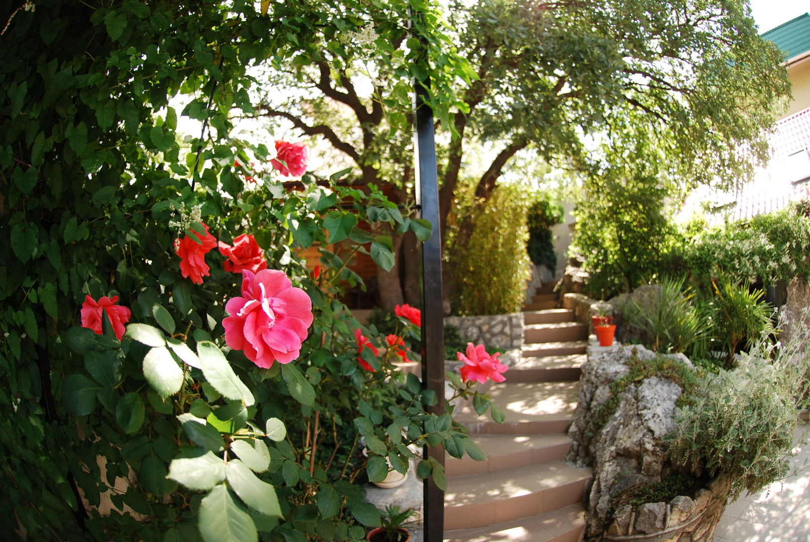 Гостевой дом Флёр