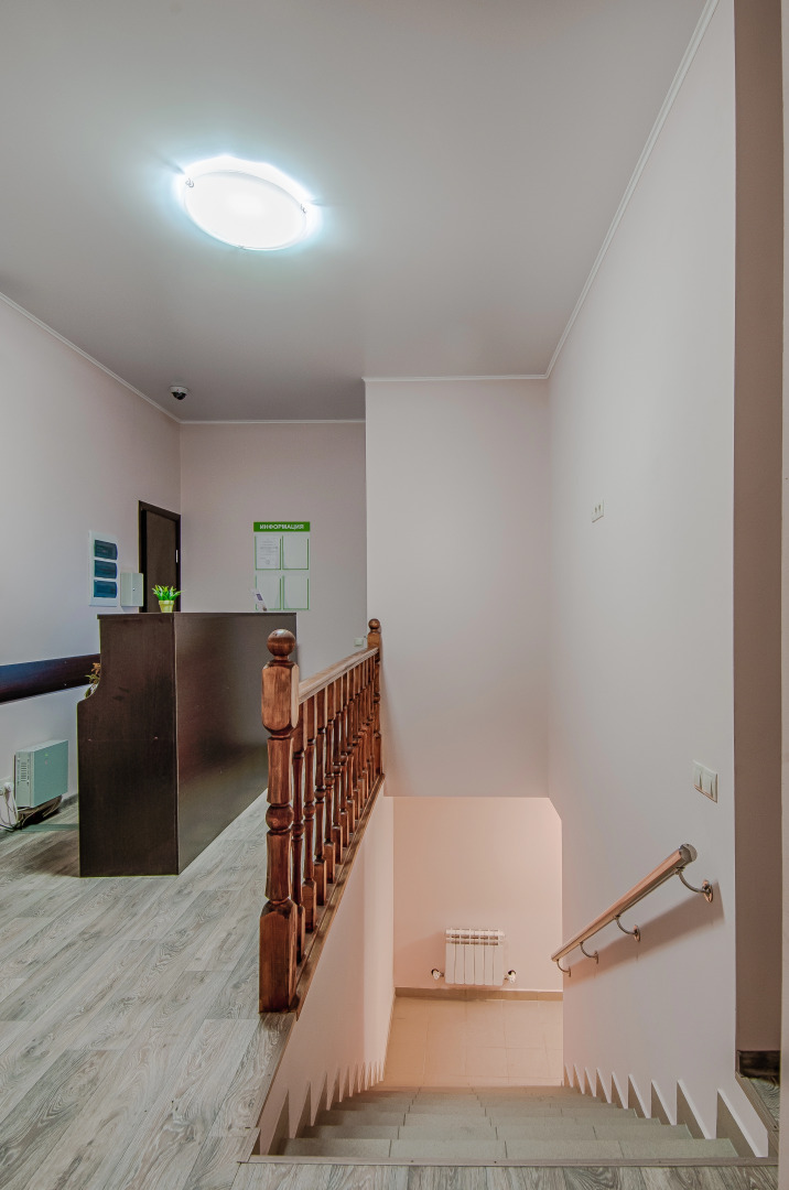 Базилик Чаплыгин