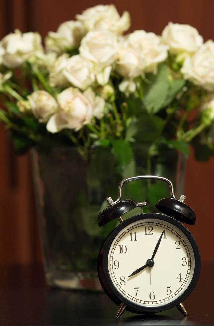 Отель Фидель