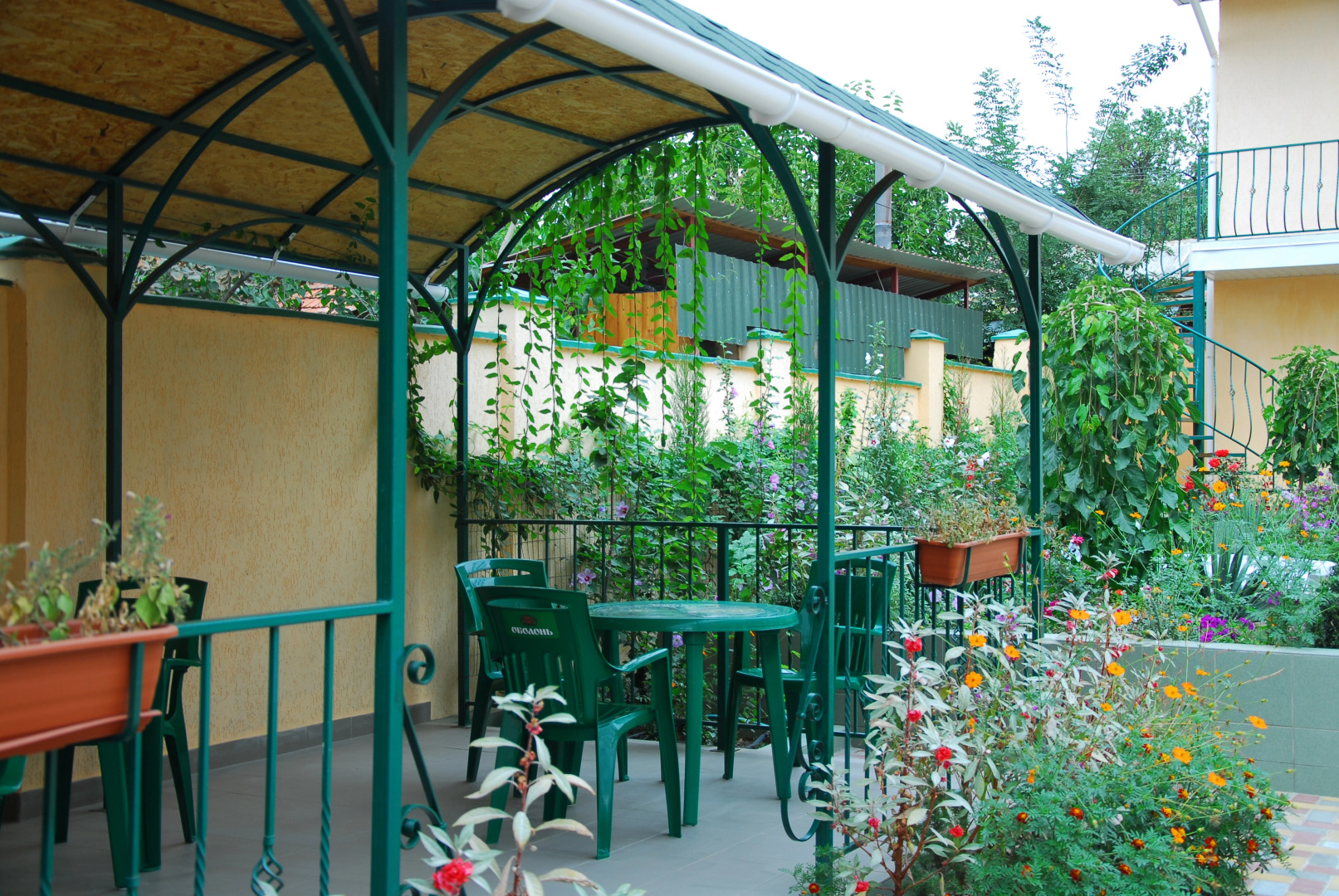 Мини-отель Пансион Кафа