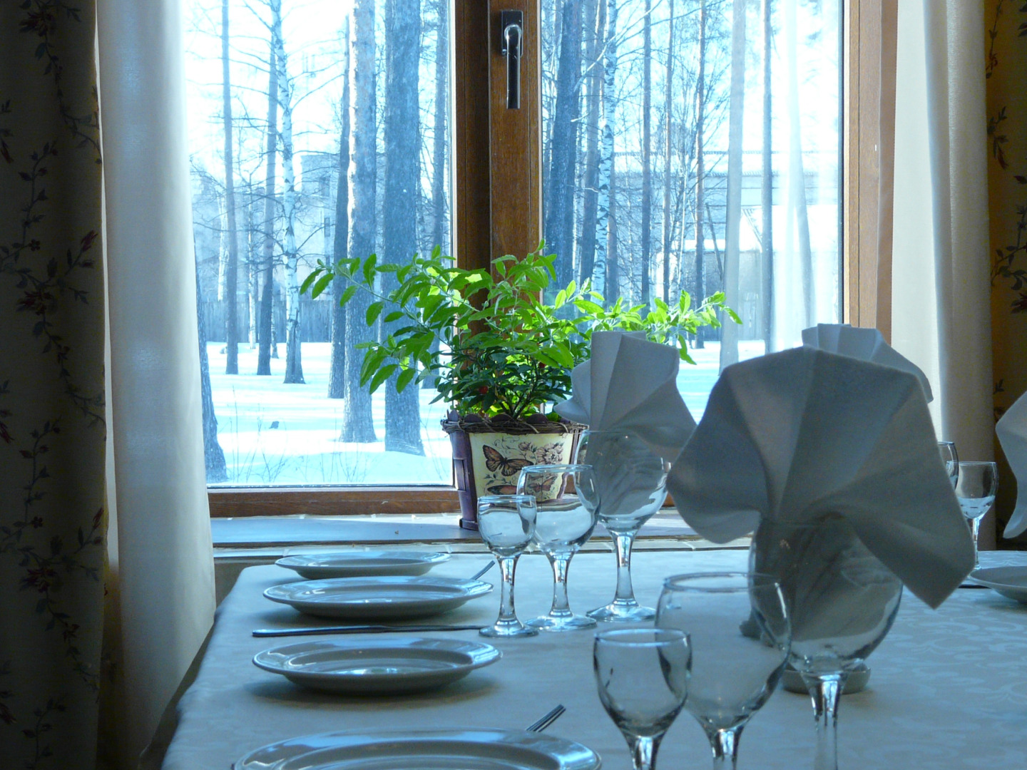 Отель Берендеевка