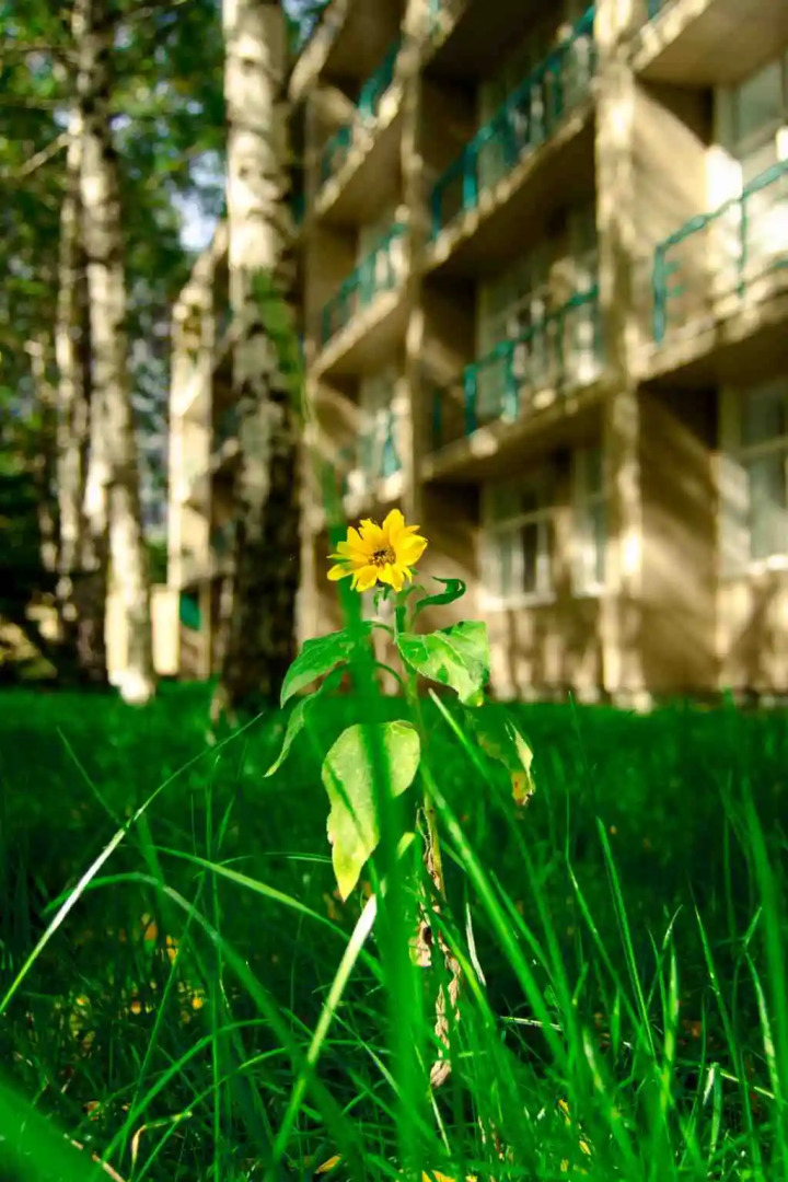 Отель Green Line