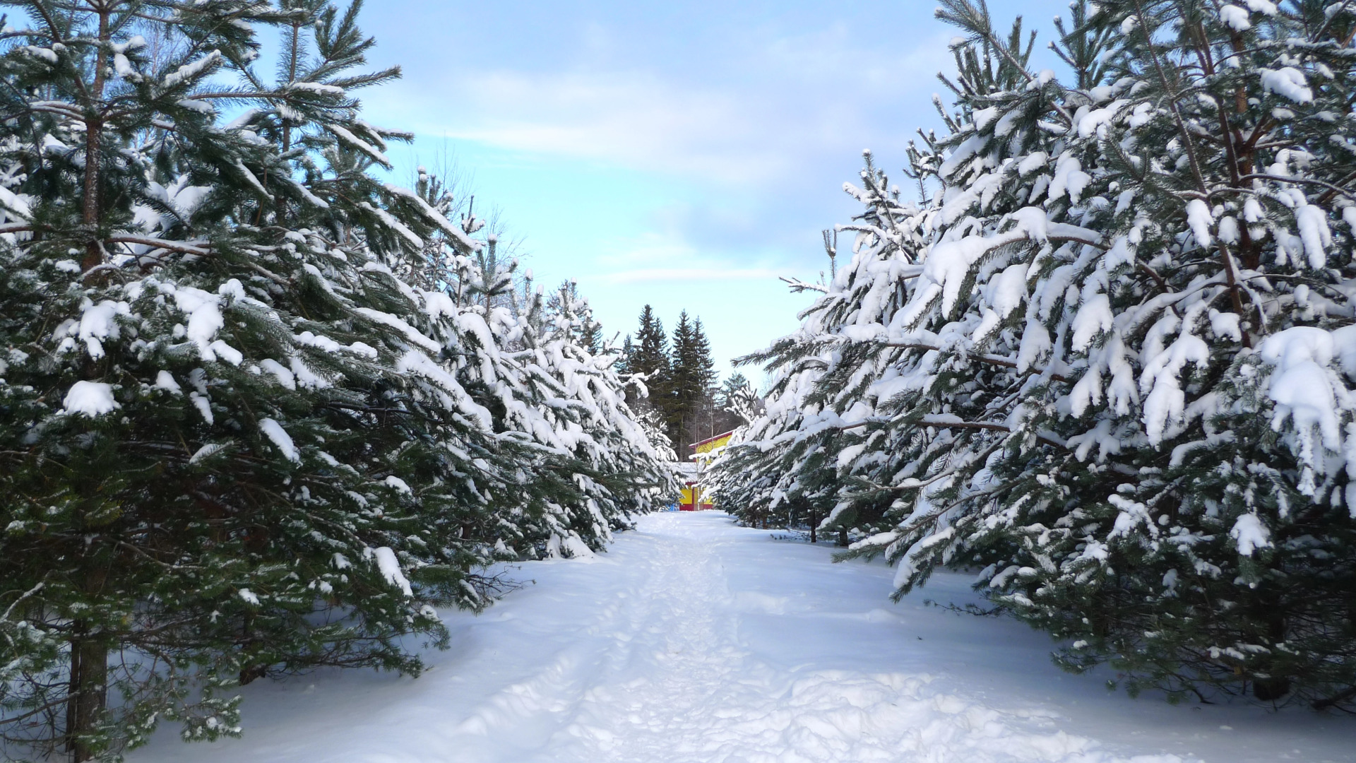 Коттеджный Поселок Демино