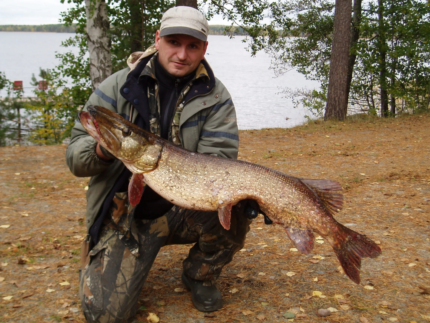 Отель Lomasaaret