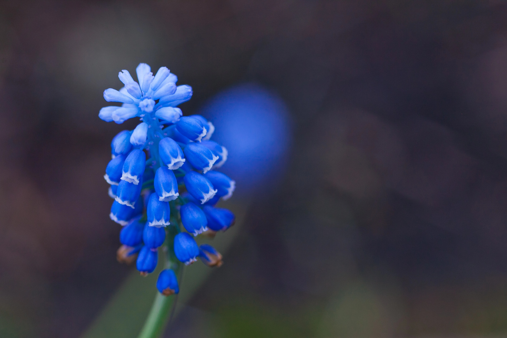 Мини-отель Sweethotel