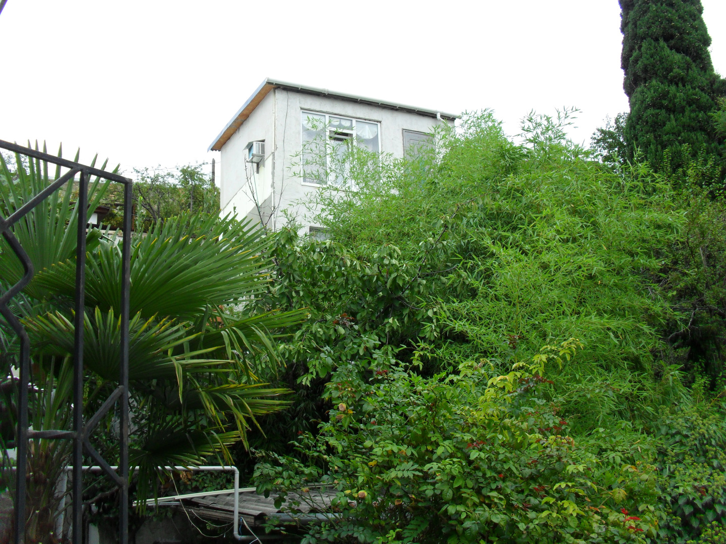 Меблированные комнаты Волна