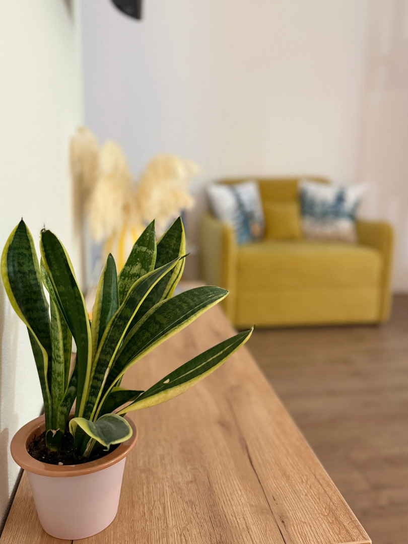 Квартира Сердце Бреста 2