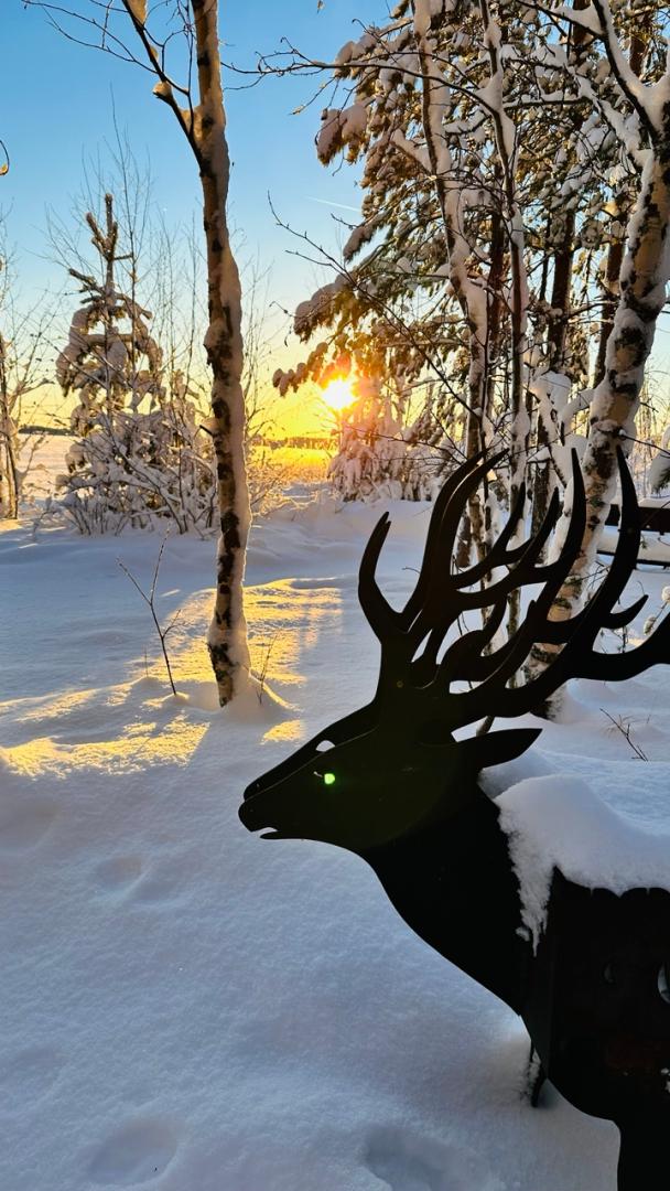 Частный дом MagicHome