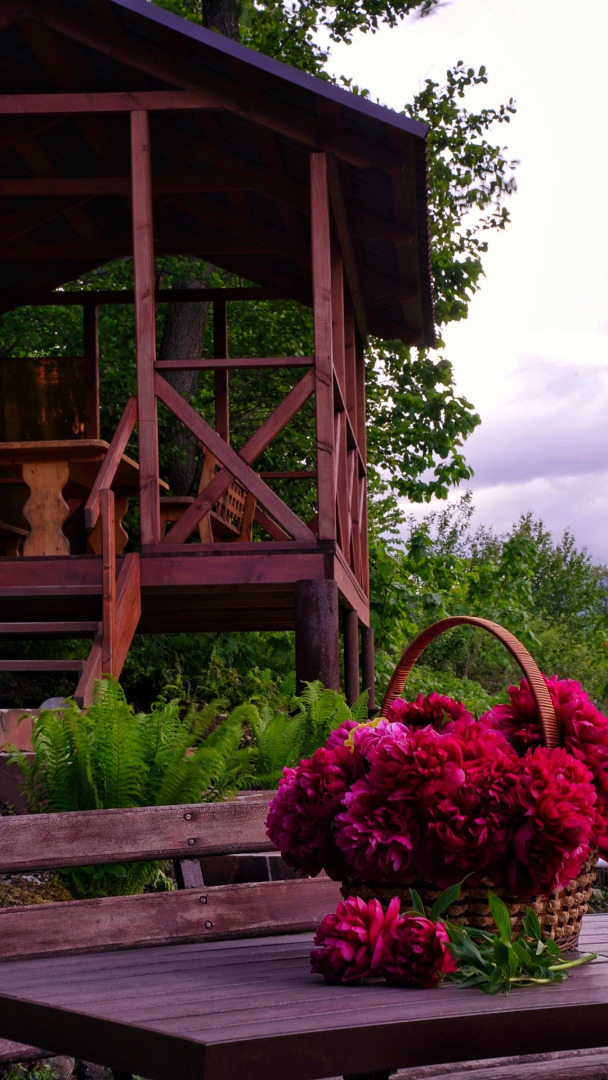 Шале Чинара