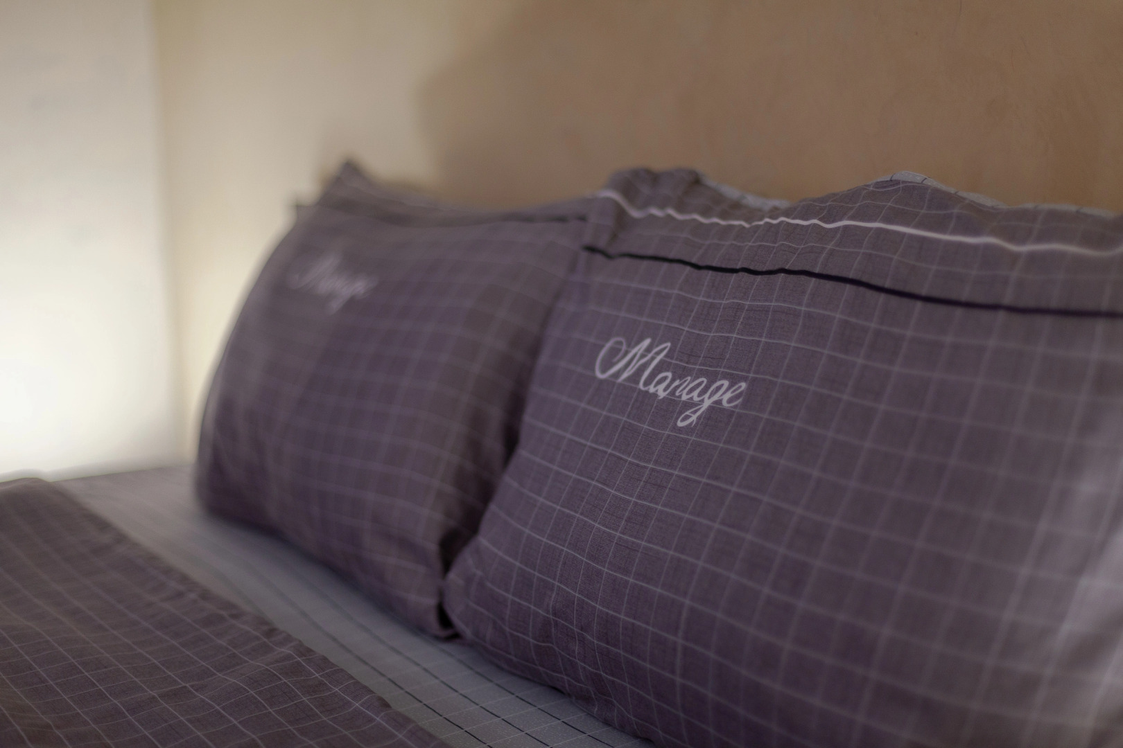 Апартаменты Пушкин Центр города