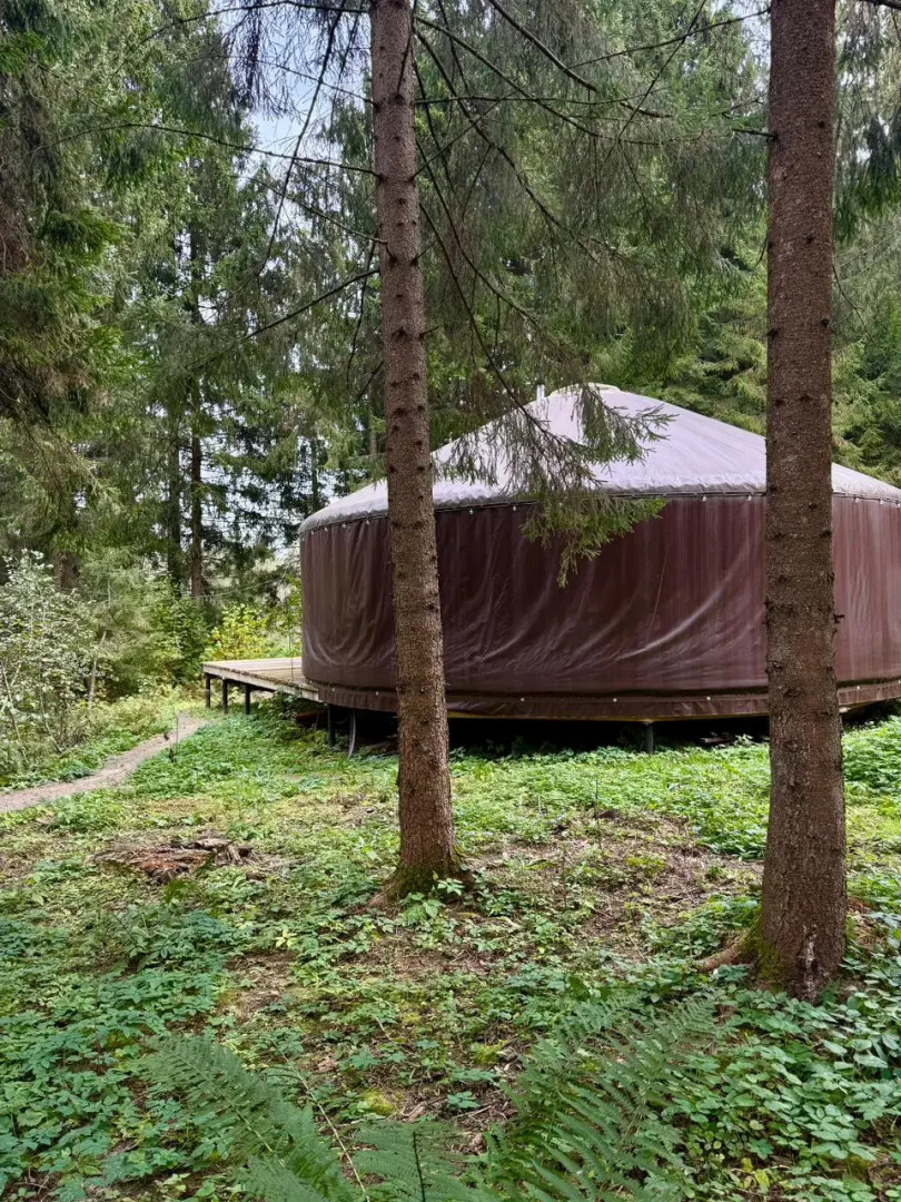 Частный дом Юрта среди сосен
